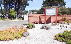 Shoreline Cottages